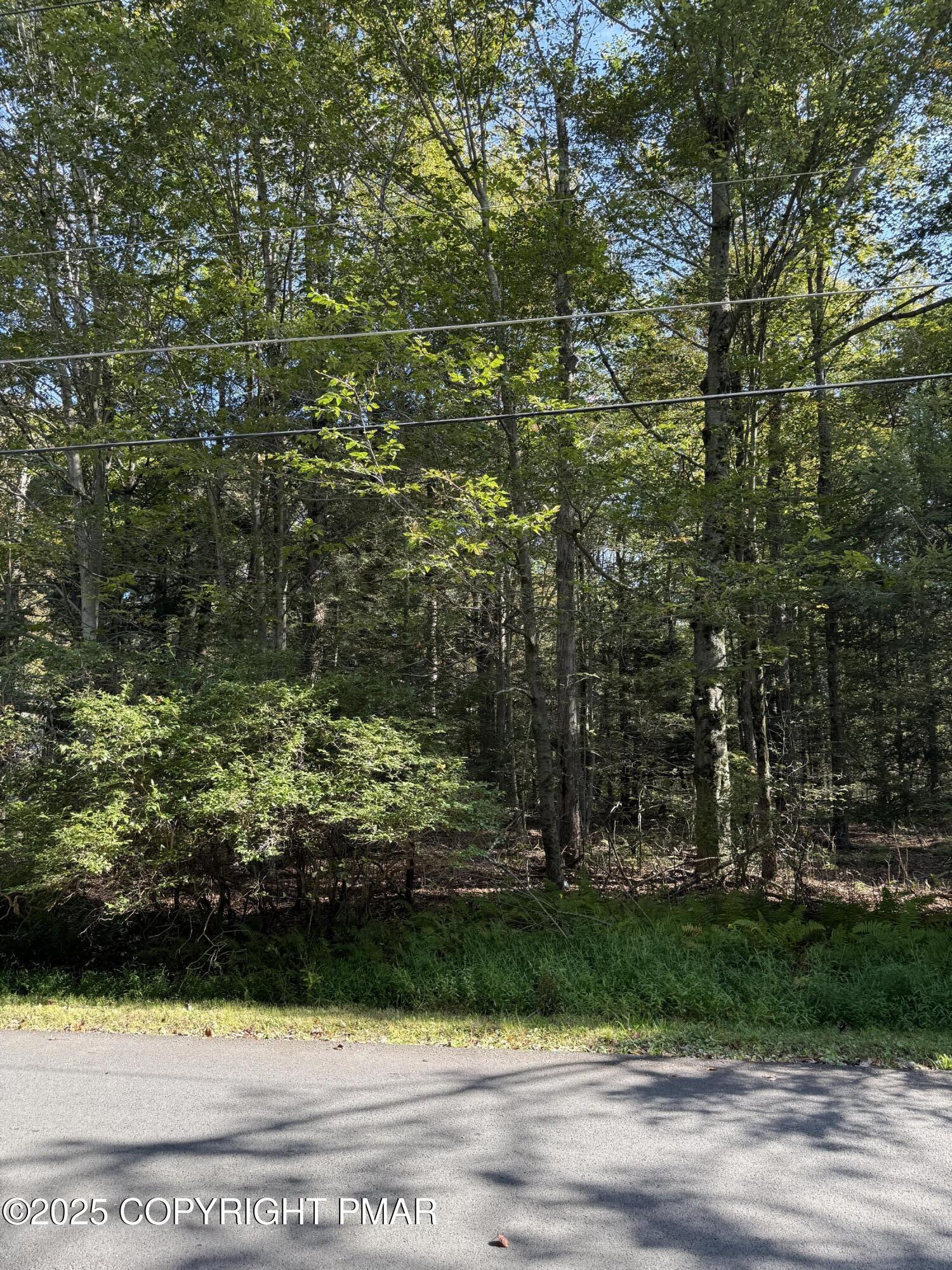 Image 3: IMG_1145