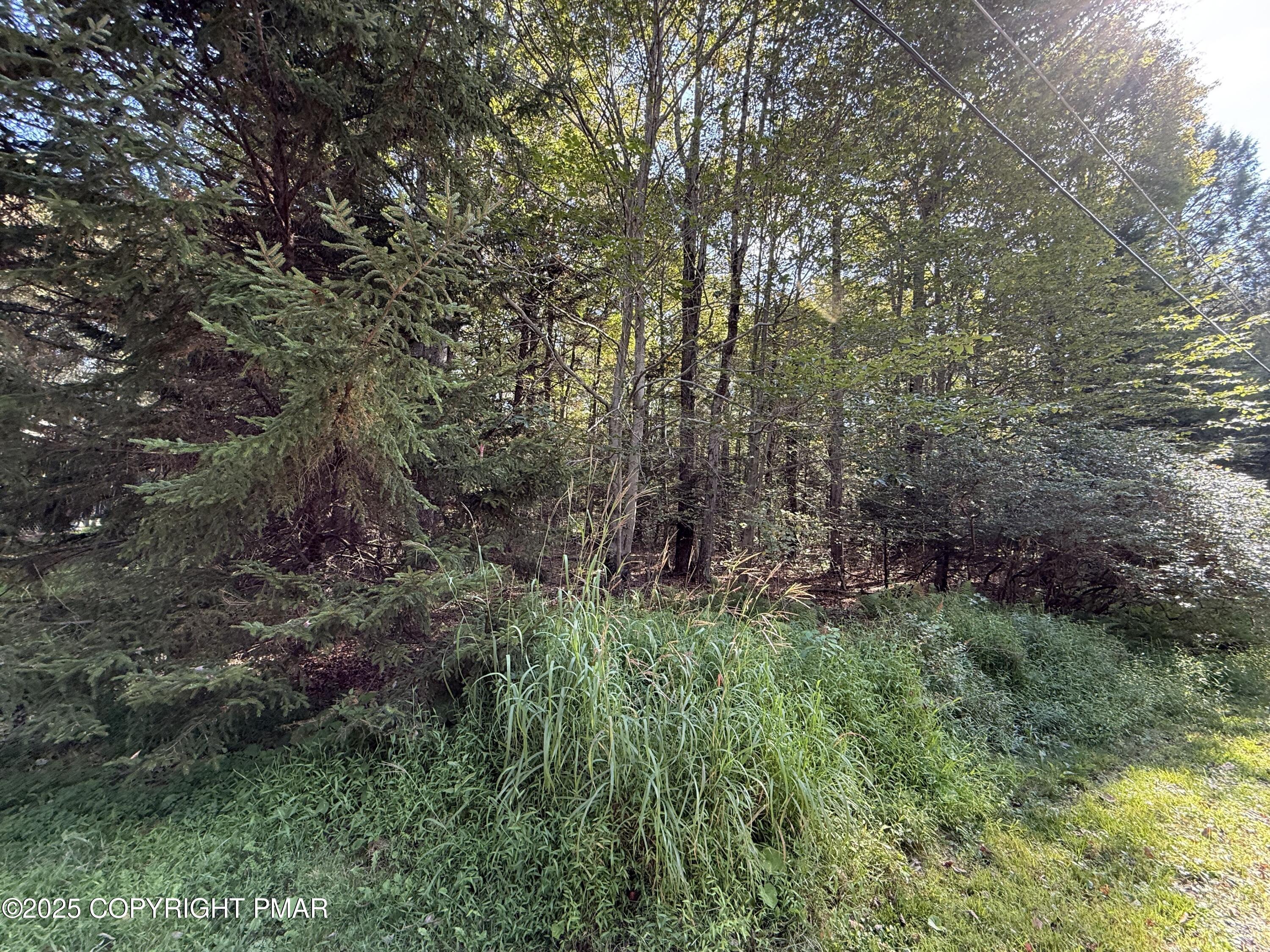 Image 4: IMG_1147