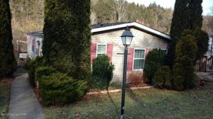 1232 Blue Mountain Cir