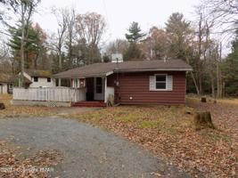 50 Sassafras Rd
