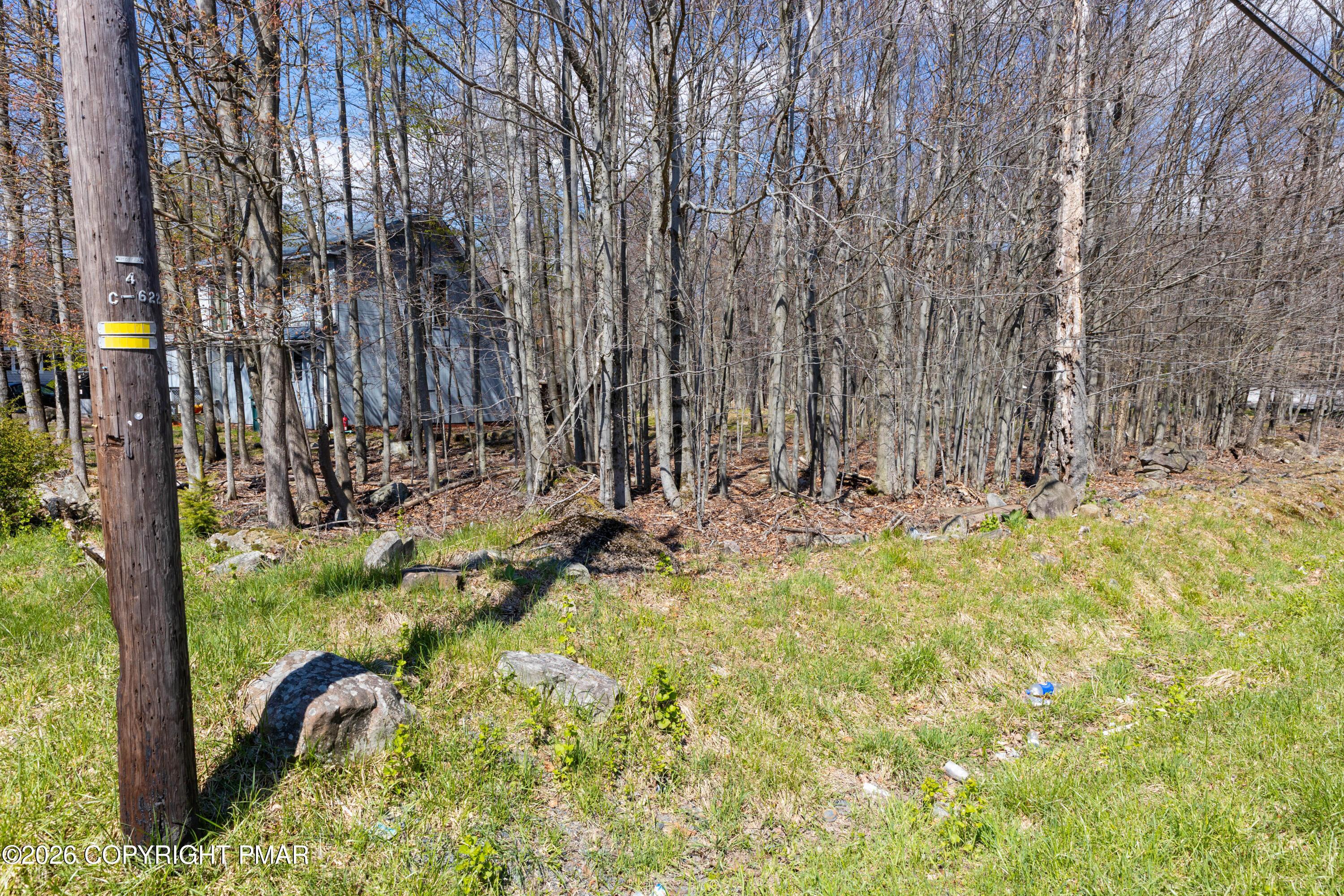 Image 4: MarvinGardens_3