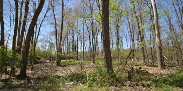 Lot B11LD Bear Creek Lake Drive