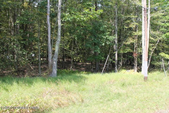 Image 2: IMG_2420