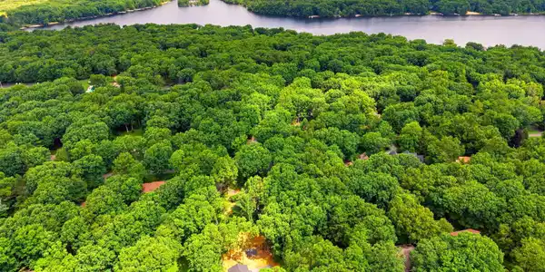 Image 2: Aerial View