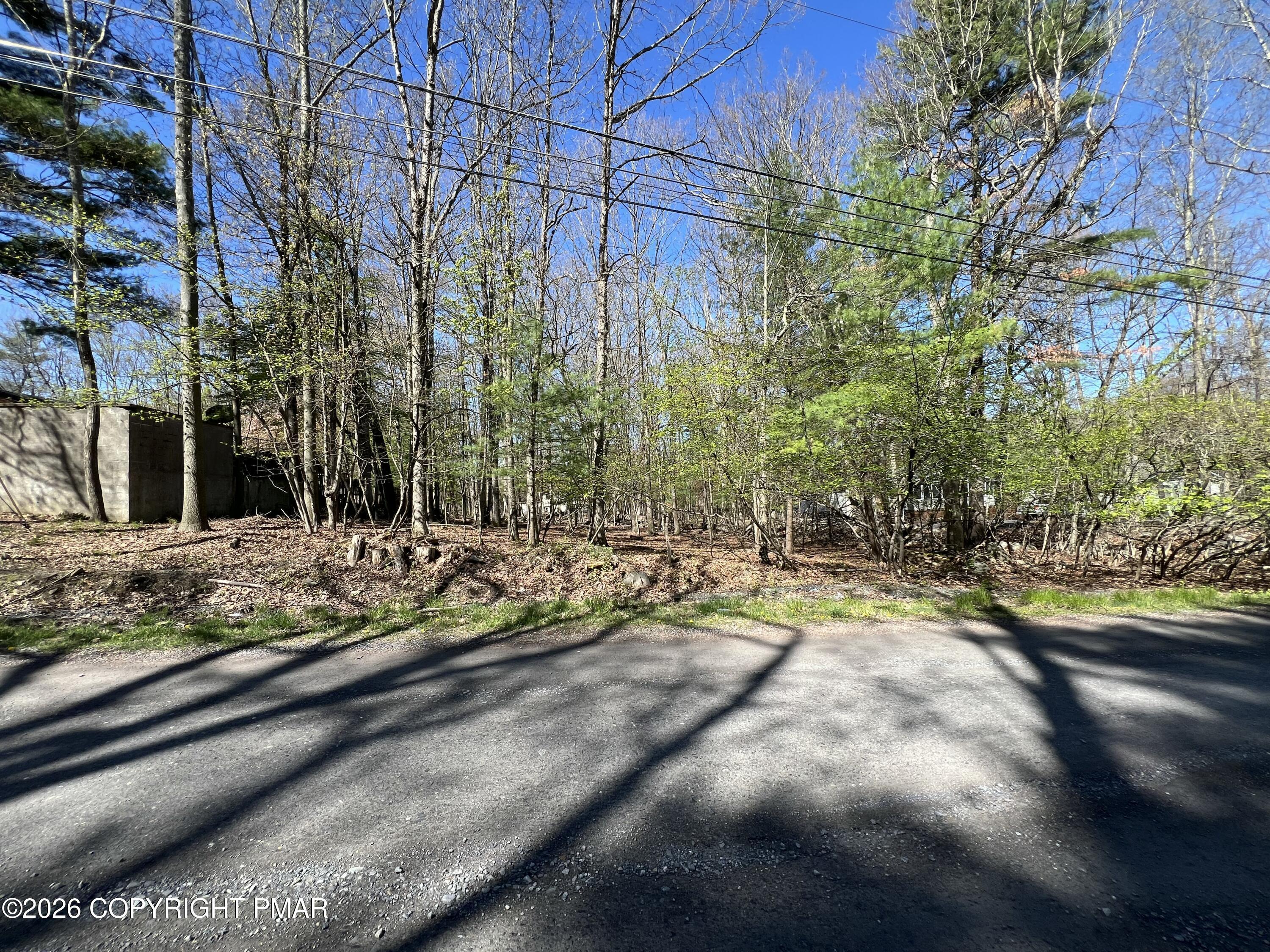 Image 2: IMG_8045