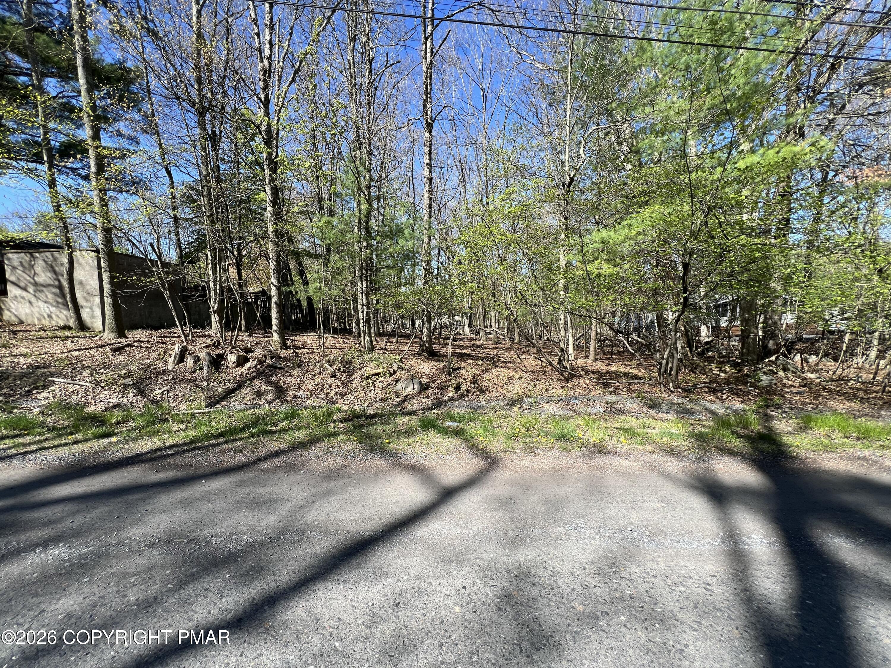 Image 4: IMG_8047