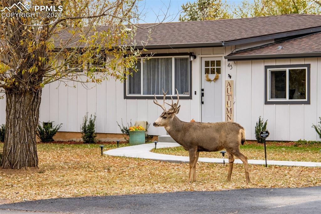 Image 4: Front of Structure