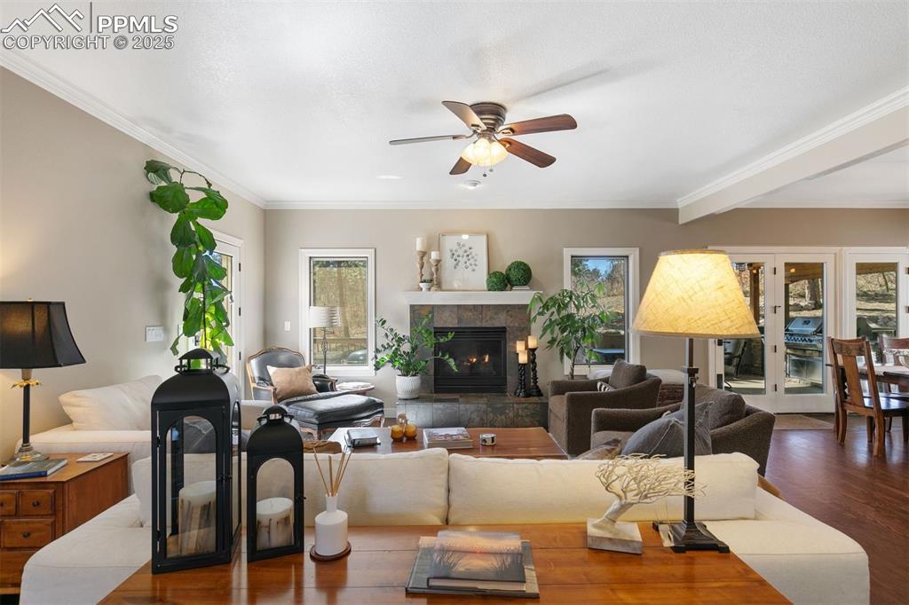 Image 4: Living Room