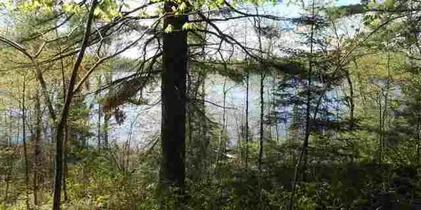 NW BAY ELBOW LAKE