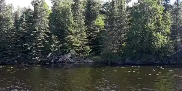 TBD Pelican Lake