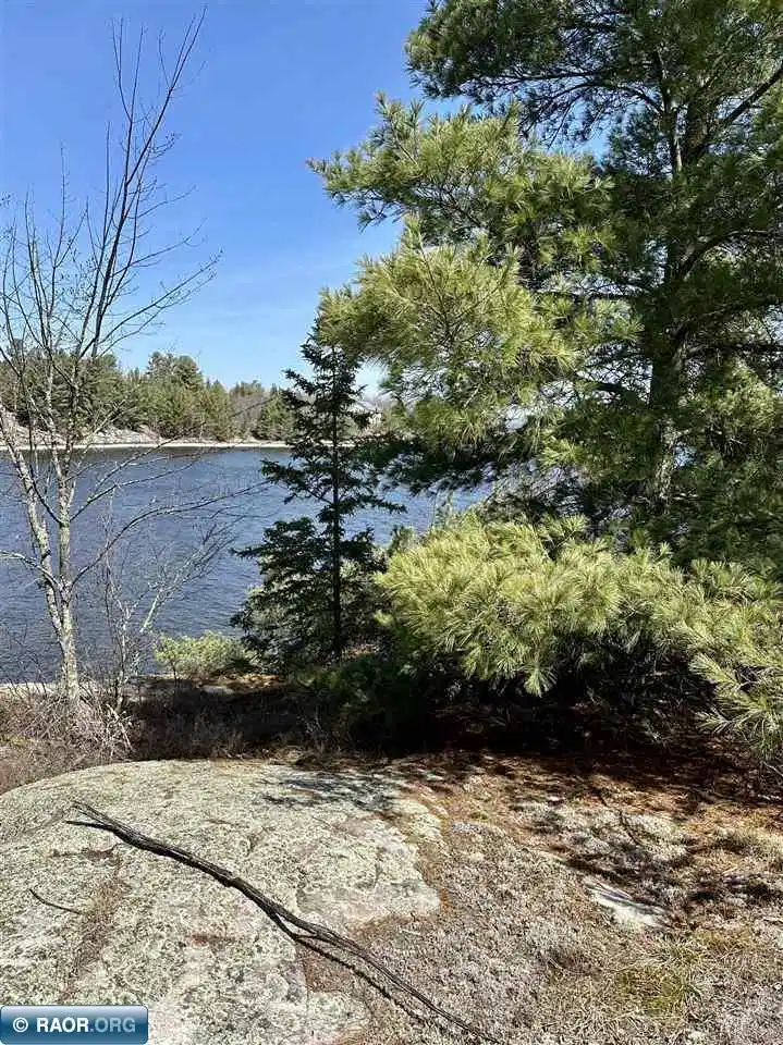 Image 1: Image 1