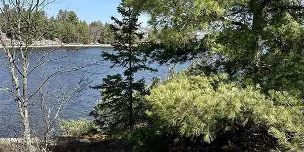 TBD Kabetogama Lake Land