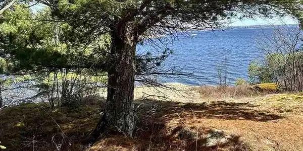 Image 3: Image 3