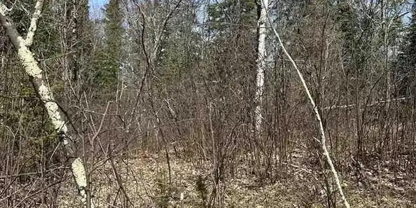 Image 4: Image 4