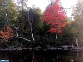 TBD Elbow Lake