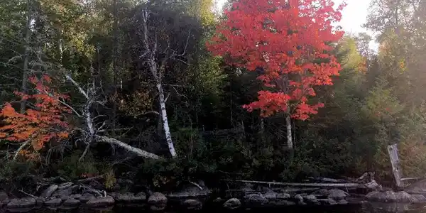 TBD Elbow Lake