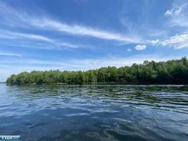 Parcel C Taylor's Island, Lake Vermilion