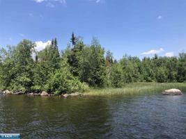 TBD Pine Island