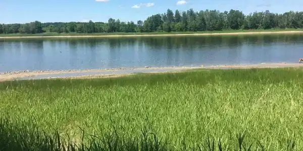 Lot A of Lots A, B, C