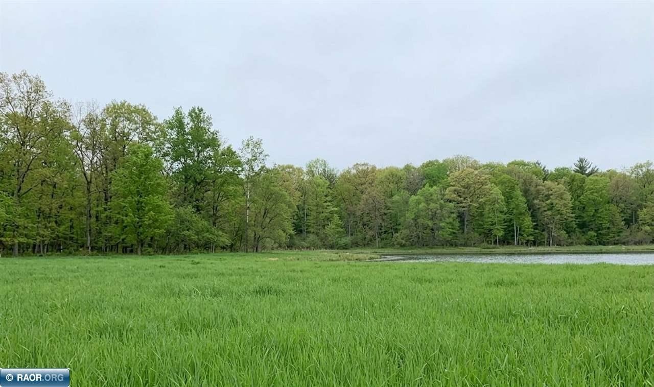 Image 17