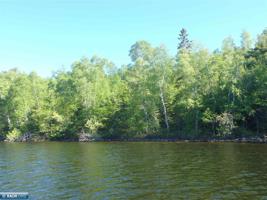 TBD Hinsdale Island
