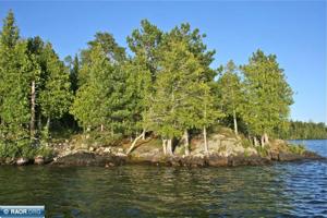 TBD Pine Island
