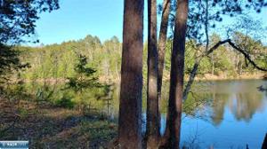 TBD 3 Pine Island