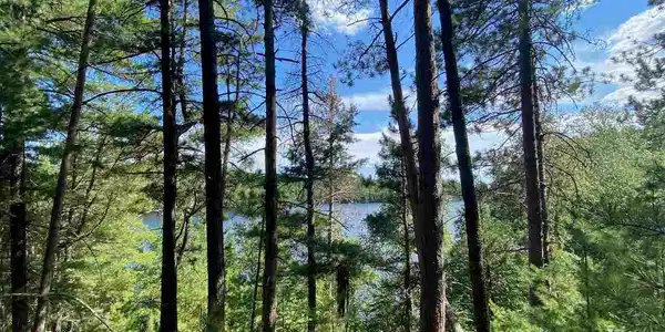TBD Genore Trail