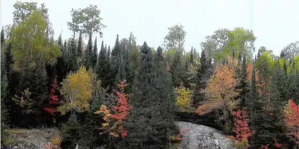 TBD Little Johnson Lake