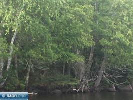 TBD Pine Island