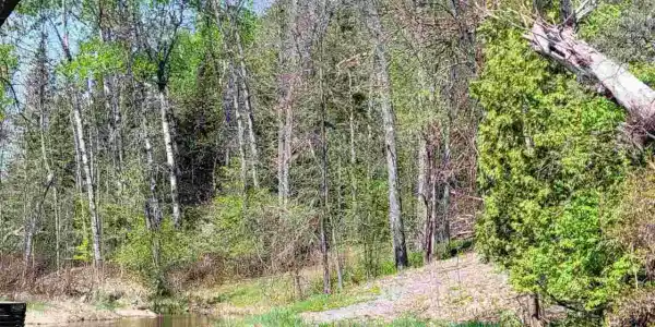 3049 CR 125 Lots 16, 17 & 18