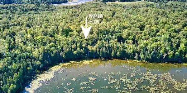 54342 W Horseshoe Lake Road