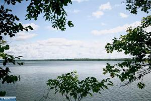 TBD Niles Bay Forest Rd
