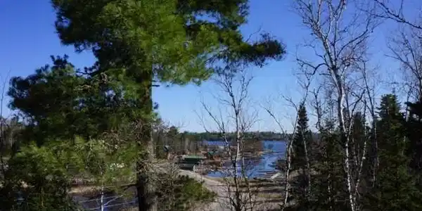xxx Crane Lake Rd