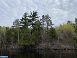 TBD Pine Island