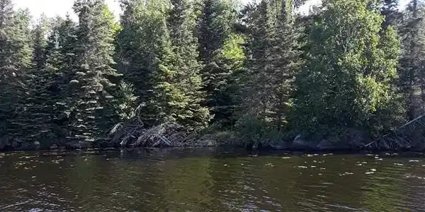 TBD Pelican Lake