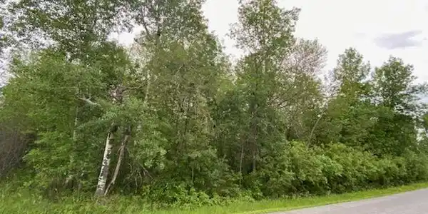 TBD Hwy 11
