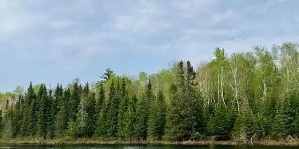 TBD N Elbow Lake