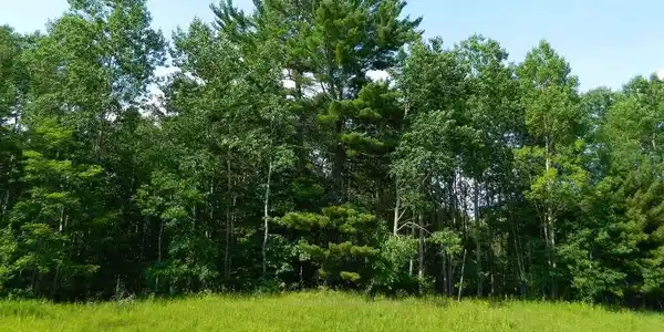 50204206-TBD County Rd 63