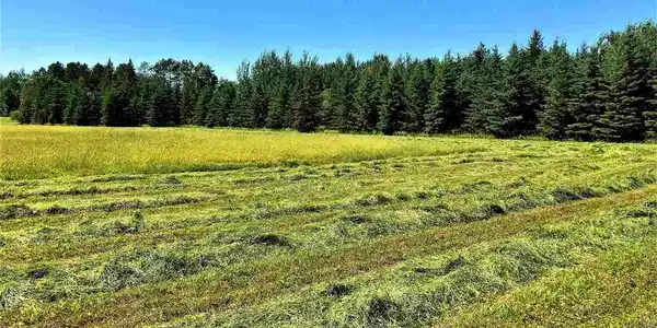 TBD Highway 11