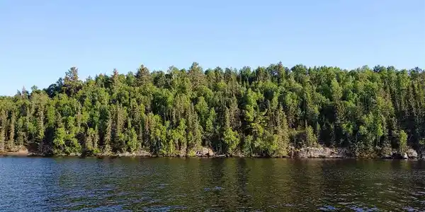 TBD 7.8 Bear Island