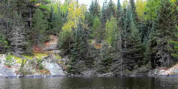 TBD Little Johnson Lake