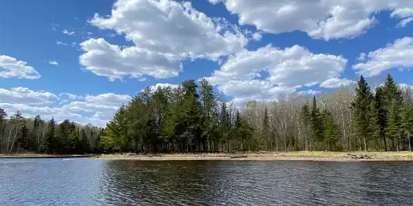 TBD1926 Rollick Creek