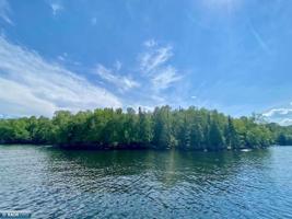 Parcel C Taylors Island, Lake Vermilion