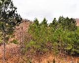 00 County Road 754
