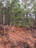 000 Steer Creek