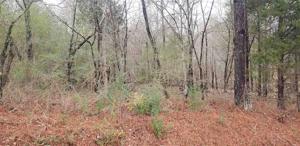 2 Acres Eads Bluff Road Lot 2