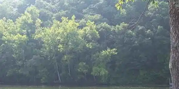 Lot 129 Scenic Drive
