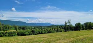 69.3 Acres County Road 804