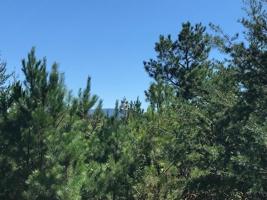 Tract 4 Athens Road